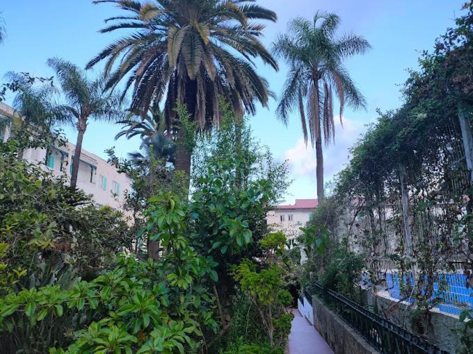 Hotel El Djazair El Mouradia Buitenkant foto